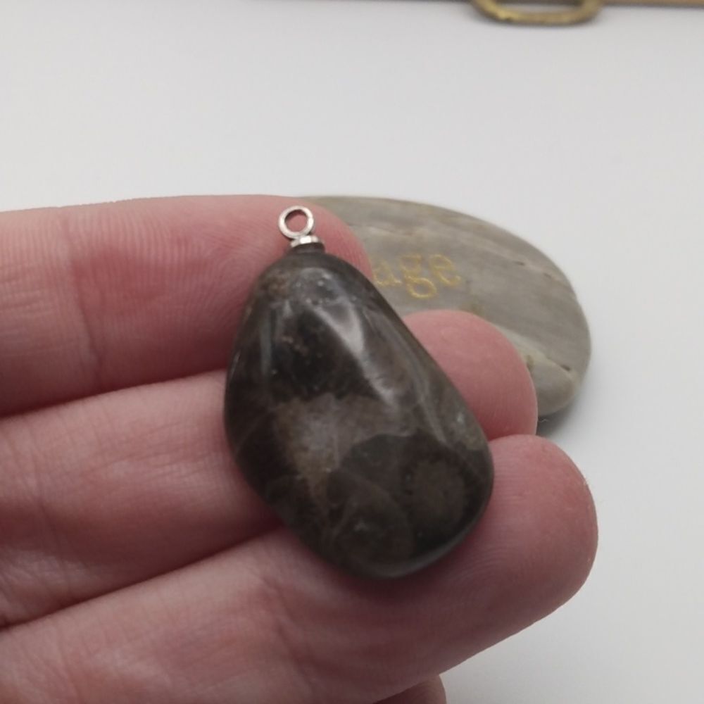 3/$20 Fearless magic labordite raw‎ necklac pendant